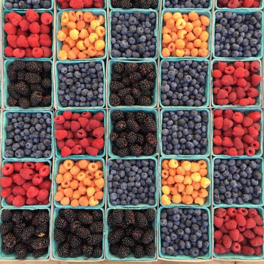 U-Pick berries