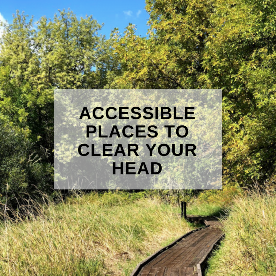 Accessible Places Cover