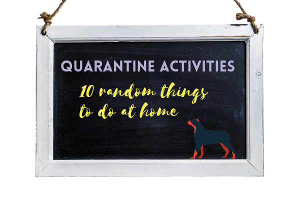 Quarantine Activities Canva design