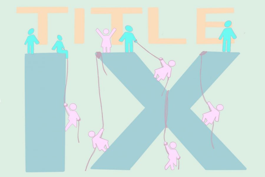 This illustration depicts women climbing up to the same level as men with the help of Title IX. The goal of title IX is to eliminate discrimination based on sex in education programs and activities. 