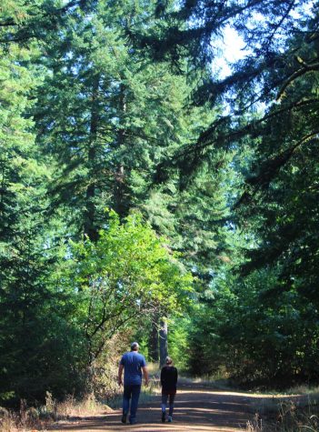 Two people walk along a trail surrounded by tall trees.