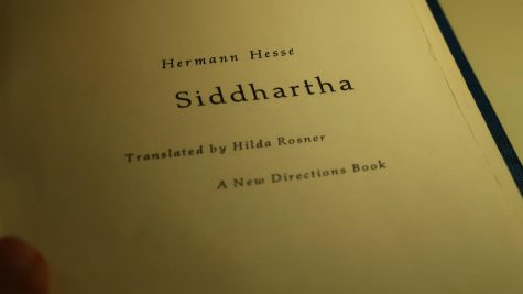 cover of book siddhartha