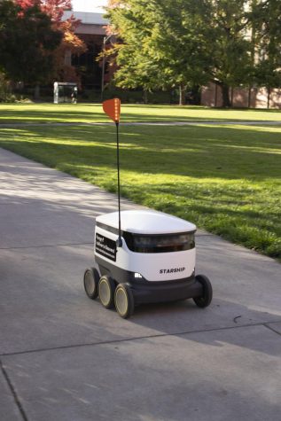 1 delivery robot on sidewalk