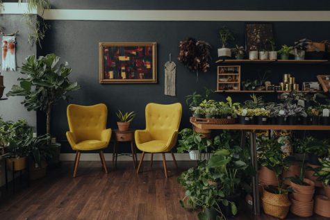 Two chairs next to plants on right. Inside greenhouse coffee and plants.