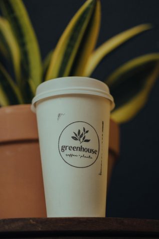 Picture of coffee in front of plant