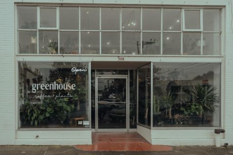 Photo of Greenhouse Coffee and Plants