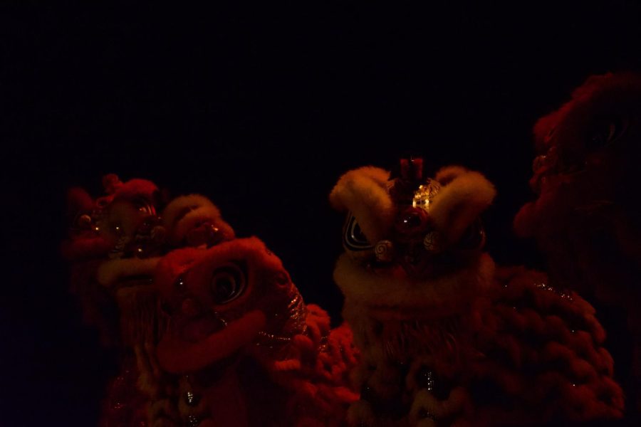 Performers+dressed+as+lions+perform+a+lion+dance.
