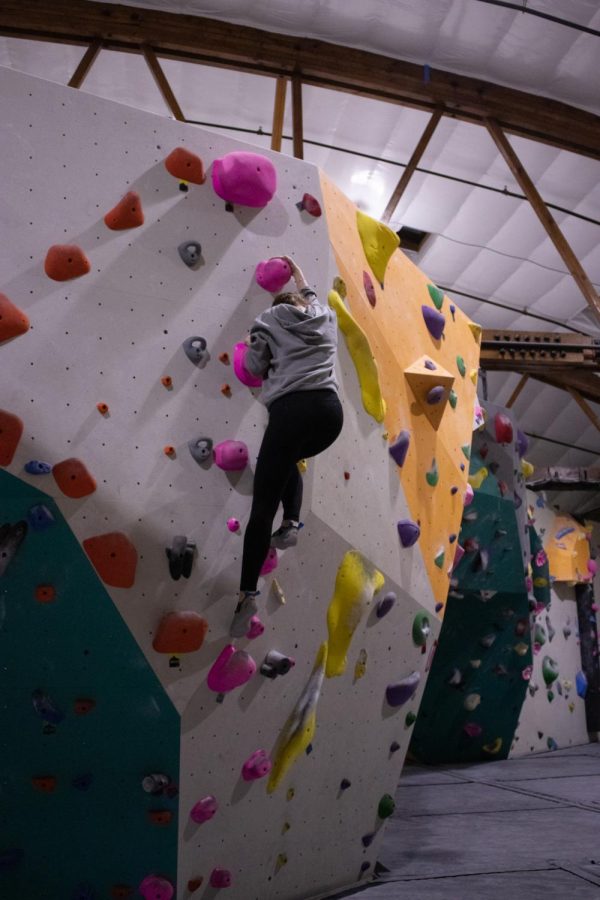 Oregon State University student Brooklynn Rawski climbs for her first time at The Valley Rock Gym