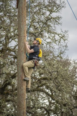 An ALI Instructor climbs to the top on the Challenger Course.