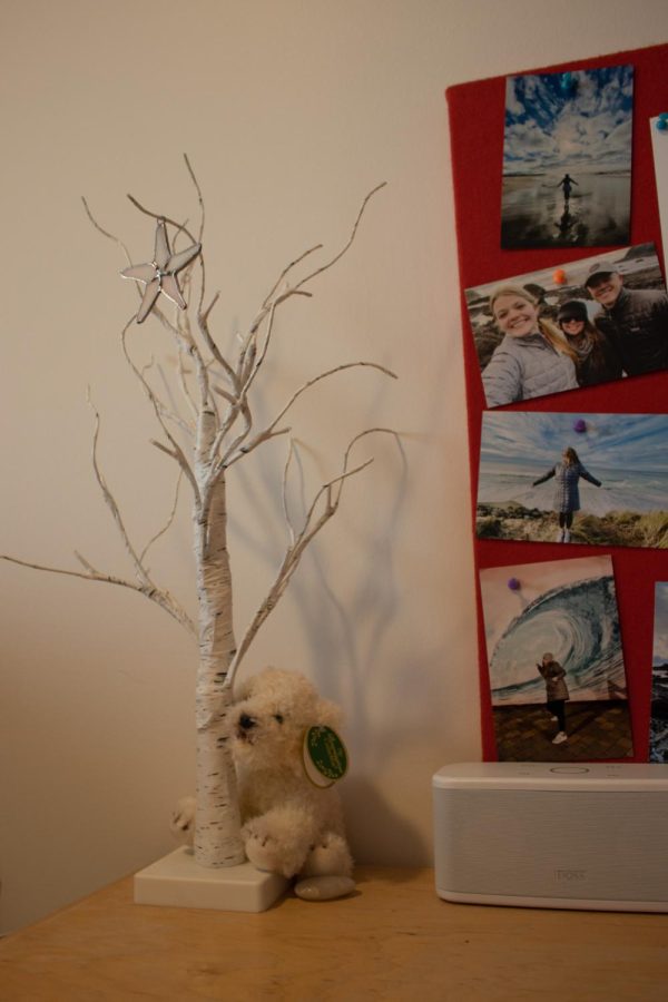 Desk decorated with photos and a stuffed animal
