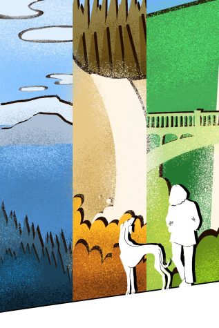 An illustration of a person and their dog visiting three different national parks/reserves