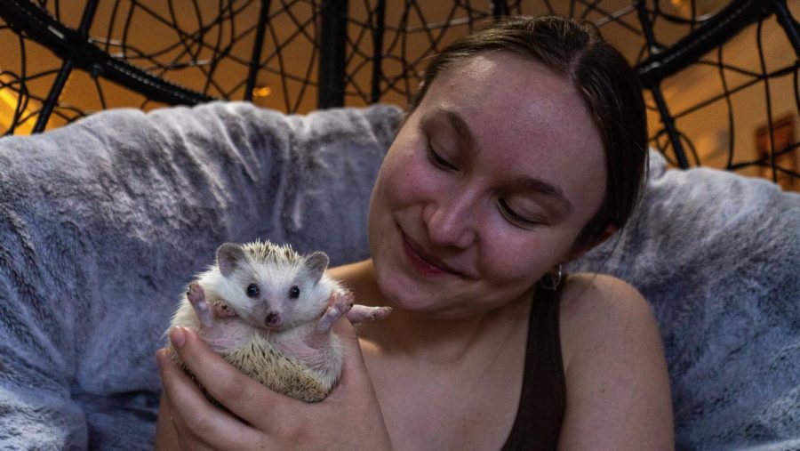Salchicha Fischer, and her human, Sophia Fischer, spend some quality time together on May 11 at her home in Corvallis. Animals can form extremely strong bonds with their humans which means we humans need to be sure to reciprocate that bond to help our animals emotions. 