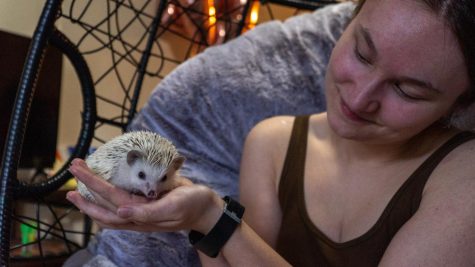 Student Sophia Fischer holding her hedgehog Salchicha