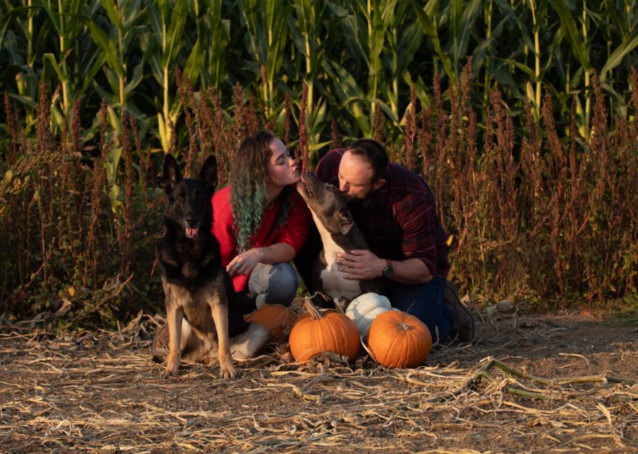 Sara M.H. (left) And Chris Smith poses with their two dogs Simon and Sugar at The Melon Shack pumpkin patch on Oct. 18. M.H. is a dog trainer so the couple found the pumpkin patch to be a great place to snap some photos with their two recent rescue dogs.