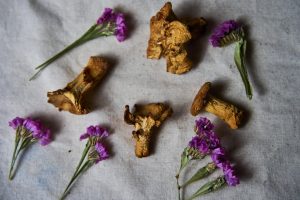 Golden Chanterelle mushrooms and flowers spread on a table on Sept. 24, 2023. Mushrooms are good for the immune system and some mushroom powders can be good for focus, mental health and memory. 
