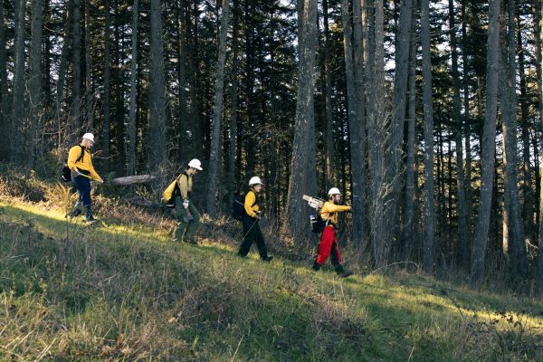 Student firefighters Woody Holmgren, Danielle Melcher, Ryan Walker, and Ceiba Cumming hike across a clearing.
