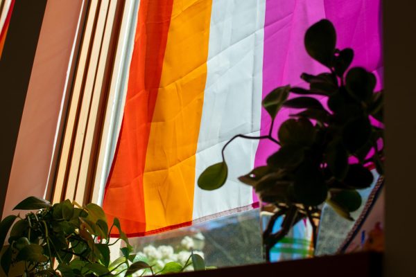 A Lesbian pride flag hangs in the window of the Oregon State University Pride Center, April 18.
