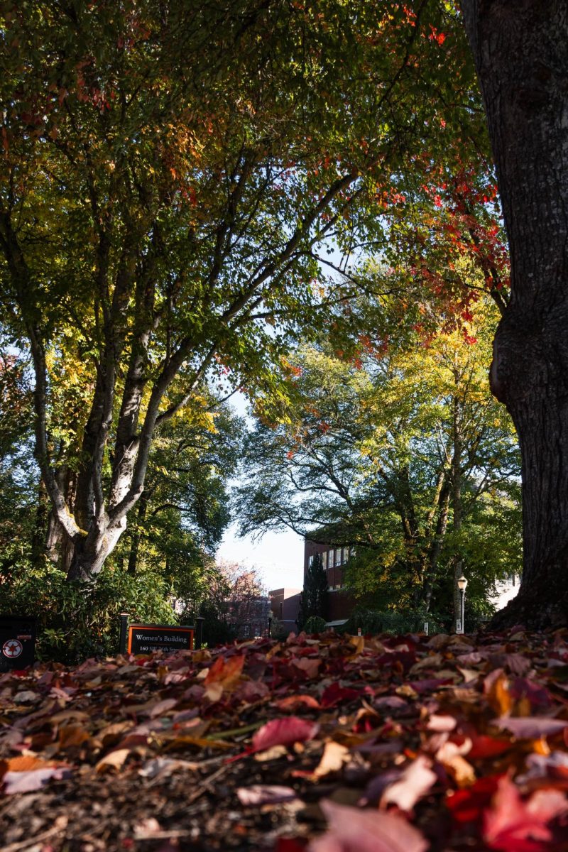 Leaves change color and fall as the weather becomes more gloomy in Corvallis OR on Oct 15 2025.