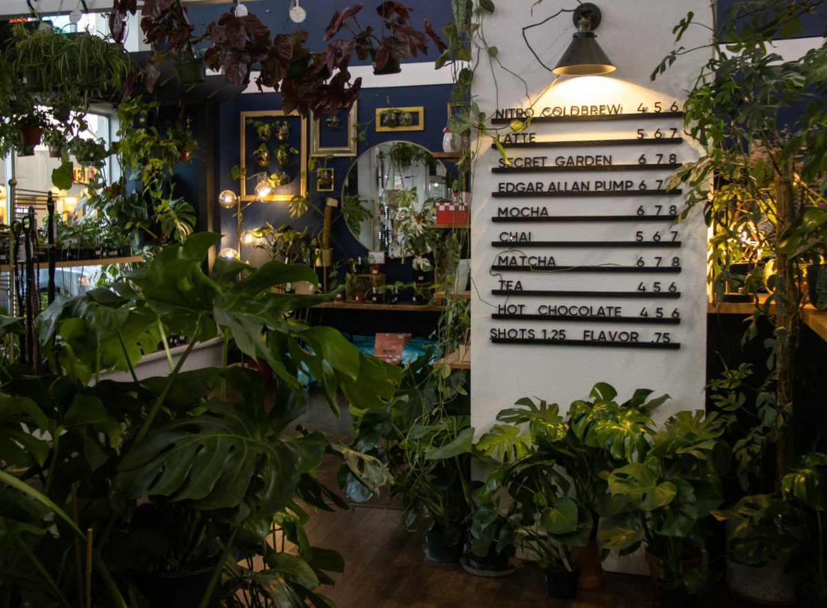 Welcome back to the jungle: Greenhouse Coffee and Plants three years later
