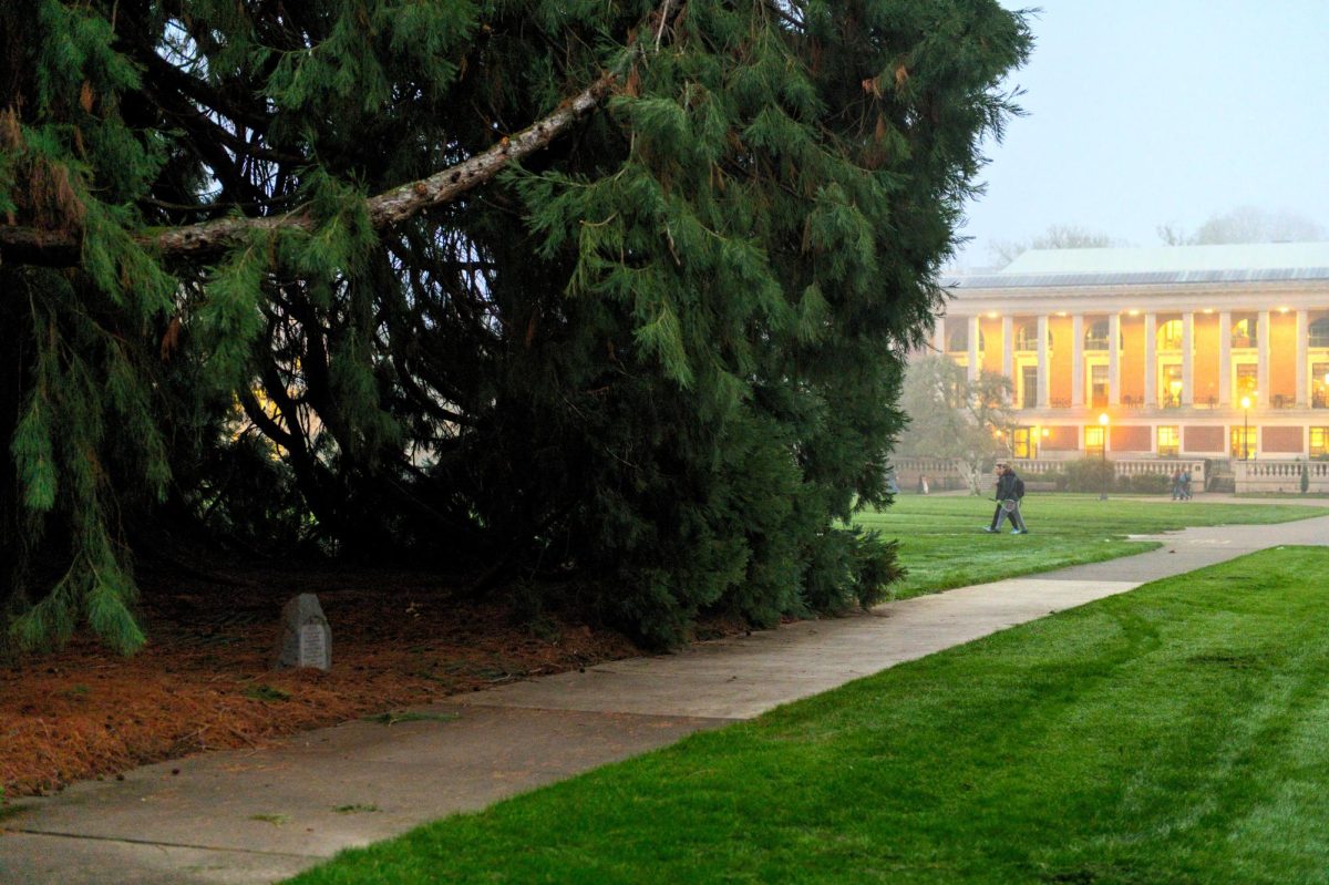 A small covered area underneath the Giant Sequoias on the MU Quad seen on Jan. 14, 2025. The Giant Sequoias at OSU were planted sometime around the year 1926, making
them around 100 years old this year.